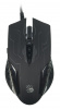 ���� A4TECH Bloody Q51, �������, ����������, ���������, USB, ������ � �������