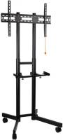 ��������� ��� ���������� Arm Media PT-STAND-7 ������ 32-80 �� 50��