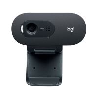 Веб-камера Logitech C505 HD Webcam Black